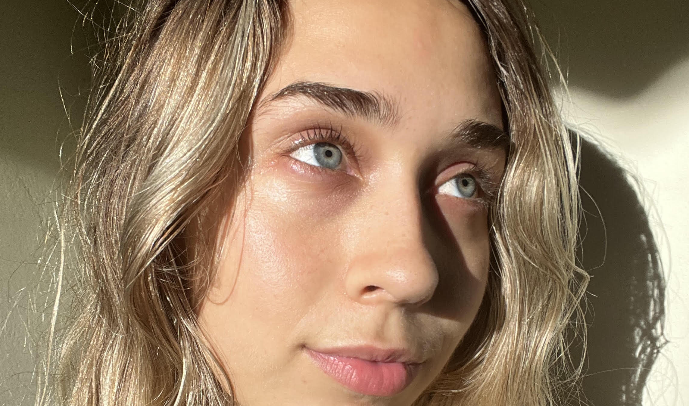 Sunlit Seeds hero banner